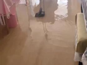 猫咪趁主人睡觉开闸放水淹了家,当事人:打不过它,没有惩罚