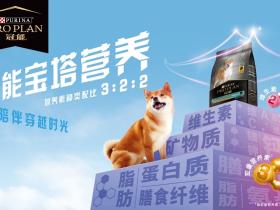 冠能宝塔营养理念,凝聚雀巢普瑞纳对“食品”的百年敬畏之心