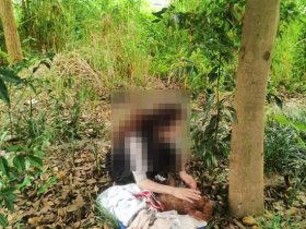 成都多地出现“毒狗”事件,警方介入调查:正对不明投放物进行检验