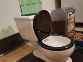 给猫买了个迷你马桶饮水器后..猫:没内味儿了