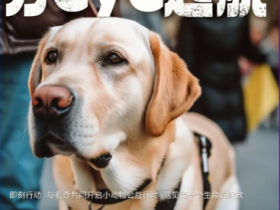 国际导盲犬日,与看奇共同助力导盲犬健康成长