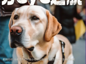 国际导盲犬日，与看奇共同助力导盲犬健康成长