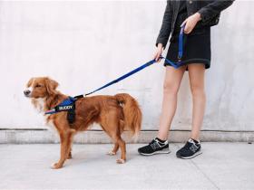 在追女生过程中,遇到女生长时间不同意和不拒绝的情况,该如何处理?