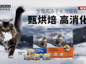 甄烘焙,高消化,普瑞纳甄选以创新工艺探索烘焙粮新标准