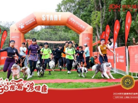 “校园喵拆蛋行动”初亮相,皇家携手京东健康提升流浪犬猫福祉