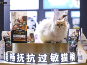 全球首款抗过敏猫粮本土升级上市,让数千万中国爱猫家庭“自由吸猫”