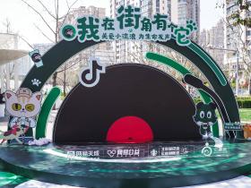网易天成“我在街角有个它”公益行动收官,科学救助获千万人响应