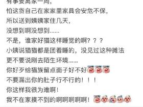 打电话说猫死了,铲屎笑哭说:死不了,它装的!