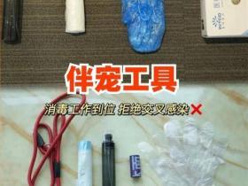 上门喂宠爆火,有人兼职就能月入过万?铲屎官考虑吗?