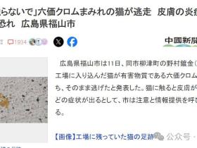 日本流浪猫误入化工池,全身沾满剧毒逃窜24小时!警方发严重警告:碰了可能得癌症和失明!