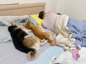 收拾完客厅准备睡觉,结果看到这一幕...“一点都不尊重我!”