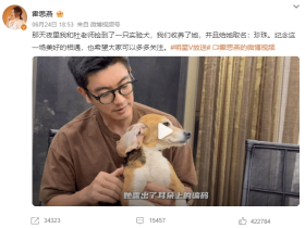 杜江霍思燕捡到一条被用于试验的比格犬,背后故事感动网友