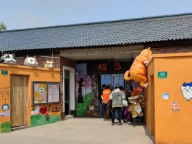 “喵星人”的快乐老家来啦!“城市猫岛”开放首日