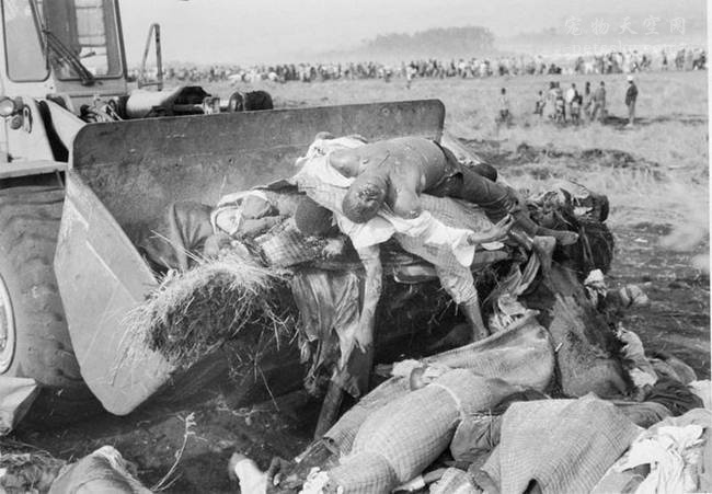 1994卢旺达杀戮事件图片