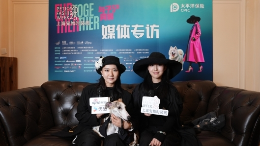 爱与陪伴永不落幕:上海宠物时装周背后的情感共鸣与社会价值