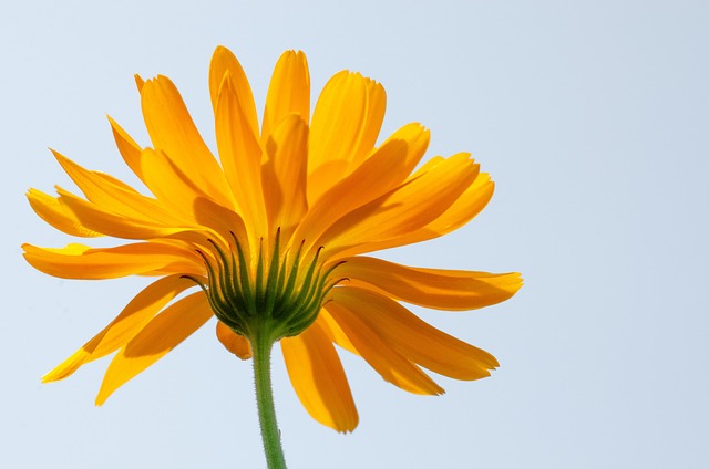 凡事往好的方面想,生活更容易变好