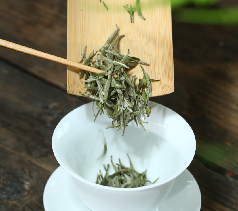 白茶都有哪几种？工艺有什么区别？