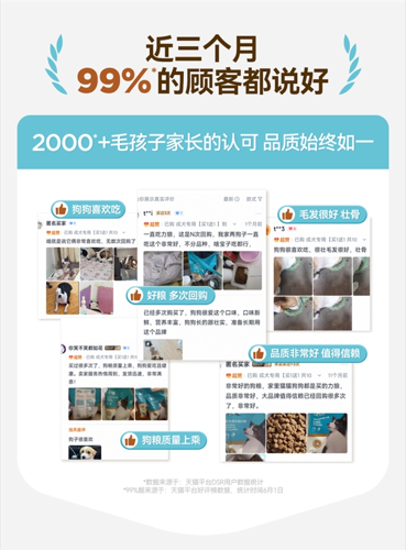 力狼荣获尚普咨询集团系列市场地位声明