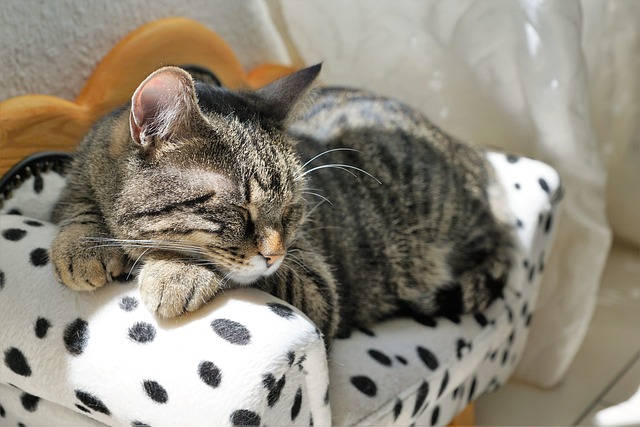 遇到问题，害怕沟通的人，可能对关系造成更大的伤害