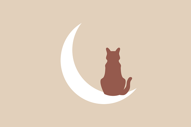 遇到问题，害怕沟通的人，可能对关系造成更大的伤害