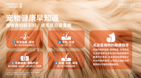 25天养出绸缎美毛：启鲜宠粮珍鲜系列，四维营养重构宠物皮毛健康