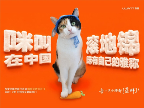 从允许入店到为其正名:宠物友好的下一站是“文化平权”吗?