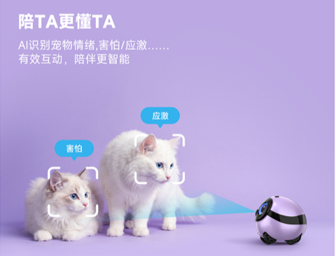 产学研赋能宠物 AI|视壮科技与华南农大共建联合实验室