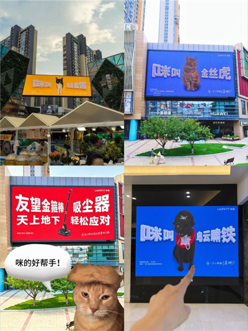 从允许入店到为其正名:宠物友好的下一站是“文化平权”吗?